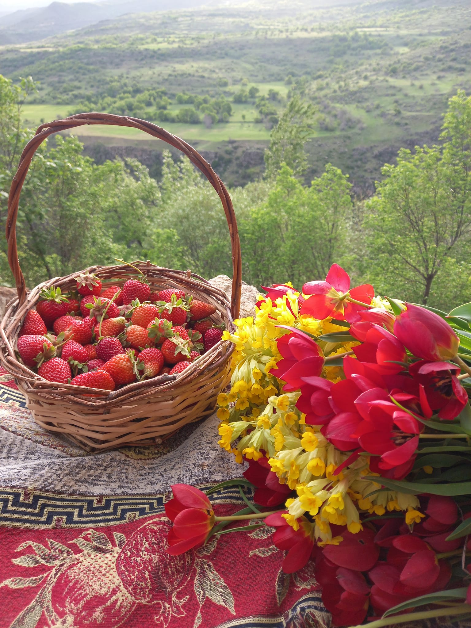 Old Byurakan Guesthouse